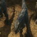 Jurassic World with Image Engine