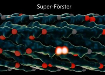Advances in light harvesting