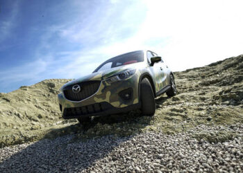 Real-Displacement-Textures collections offer realistic scanned surfaces, free muddy forest floor texture released