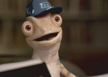 Fido’s reel 2016