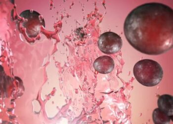 Gelmi’s Fruits video