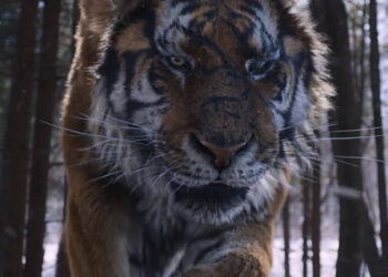 4th Creative Party’s The Tiger VFX reel