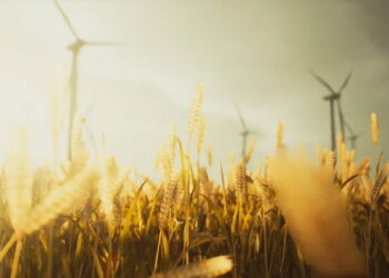 New realtime scenes by Koola