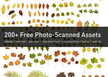 200+ free photo-scanned leaf assets