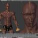 Manuel Bastioni Lab free human models creation tool