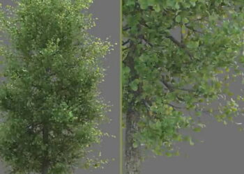 New tree generator under development