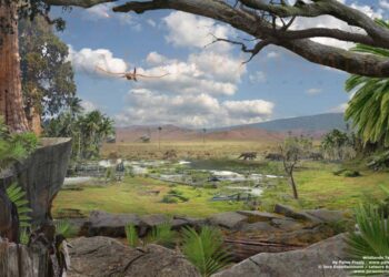 Paleo Pixels uses CG tools for the construction of new Netherlands zoo