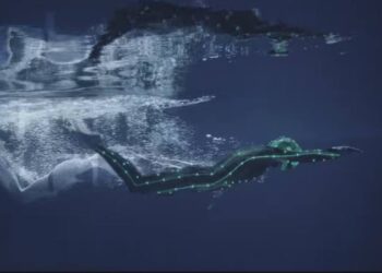 Belarusbank, “Evolution”