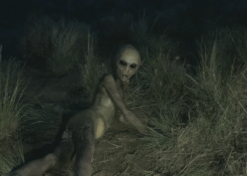 The X-Files breakdown