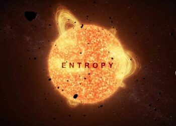 Entropy short film