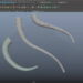 Maya BonusTools 2016 for Extension 2 now available
