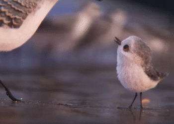 Pixar’s Piper – a first look
