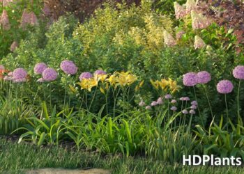 HDPlants 1 & 2 for 3DS Max