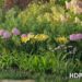 HDPlants 1 & 2 for 3DS Max