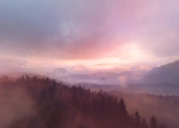 Longing for Wilderness 360° video