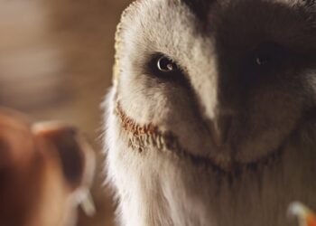 Cinema 4D R18 announced