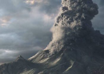 ArtFX 2016 graduation movies available online