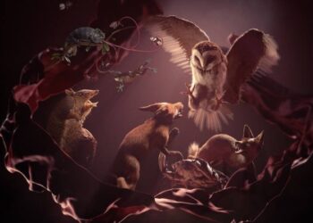 ManvsMachine’s Versus