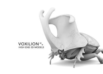 Voxilion offers high resolution scanned models for 3D printing and CG work
