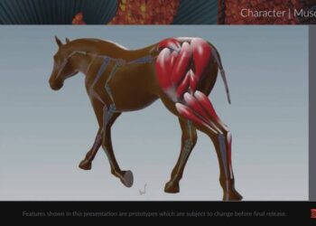 Houdini roadmap presentation and upcoming features