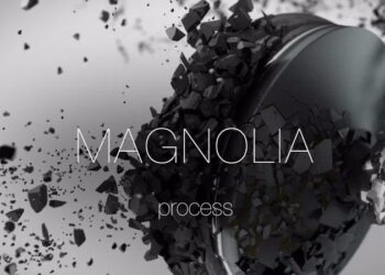 Magnolia: Process