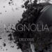 Magnolia: Process