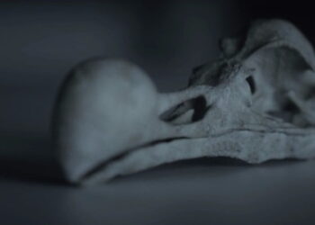 Ryzek // Sony Action Cam