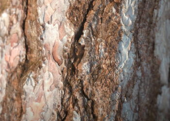 Photogrammetry with a smartphone