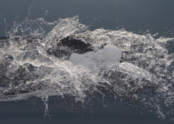 PhoenixFD 3.0 for 3DS Max
