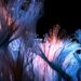 Cycles 4D is out