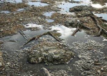 Substance Designer 5.6 is out