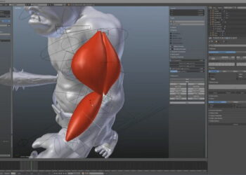 X-Muscle System available