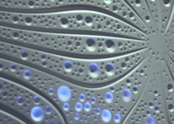 Currents Lightform Sculpture