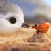 The tech of PIXAR’s Piper