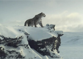 Goodbye Kansas Entertainment commercial reel