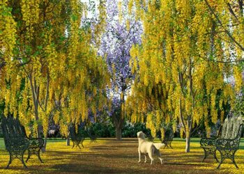 Laubwerk releases Plants Kit 10