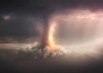 Natural Attraction short film