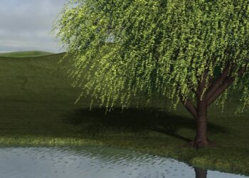 Real-time interactive tree animation