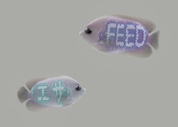 Screens of the Future