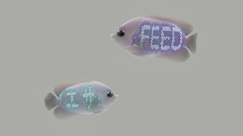 Screens of the Future