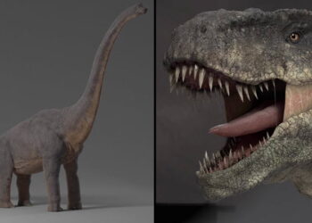 Fido posts breakdown on their latest project