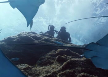 Mikros Showreel 2017