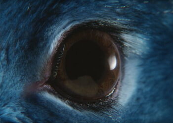 The Mill posts making of O2 ‘Follow the Rabbit’