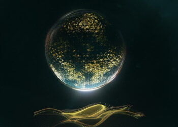 Territory Studio’s work on Ghost In The Shell