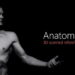 Anatomy 360 offers 3D scanned reference for artists