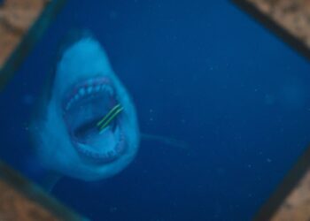 47 Meters Down VFX breakdown