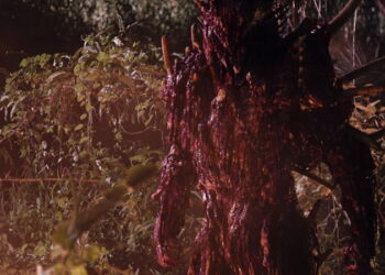 Oats Studios release Firebase