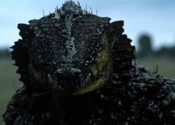 Chris Harvey on Neill Blomkamp’s Rakka