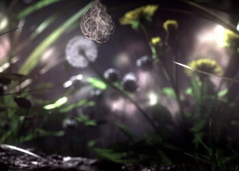 The Shark In The Park