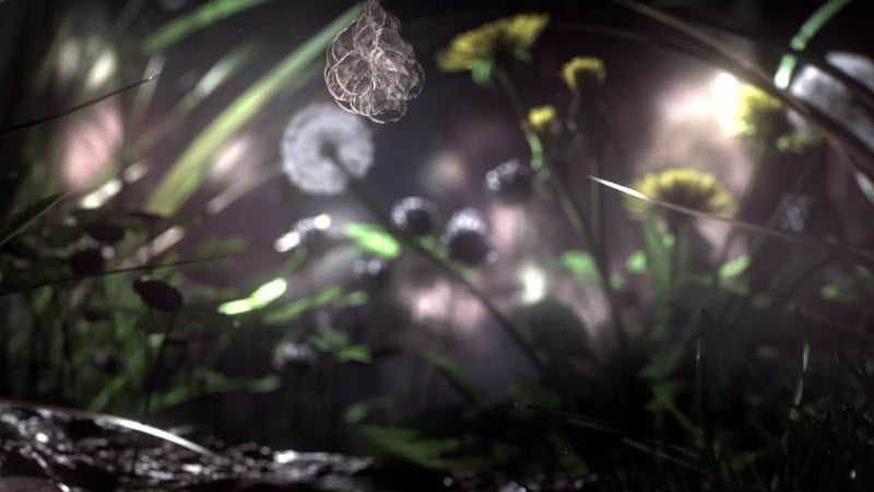 The Shark In The Park